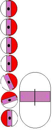 1681529259973495.gif c4.gif